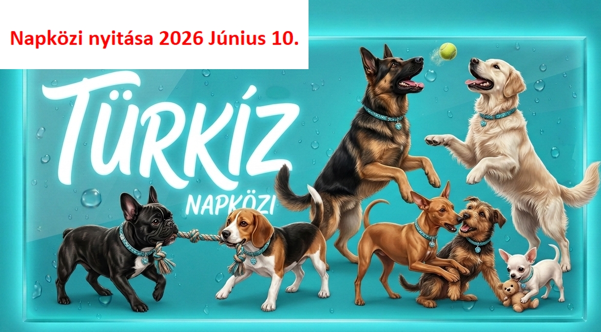 Kutyanapközi